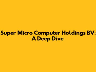 Super Micro Computer Holdings BV: A Deep Dive