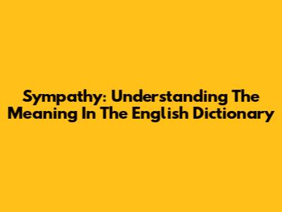 Sympathy: Understanding The Meaning In The English Dictionary