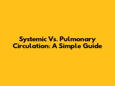 Systemic Vs. Pulmonary Circulation: A Simple Guide