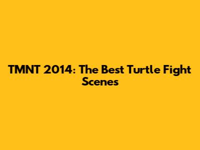 TMNT 2014: The Best Turtle Fight Scenes
