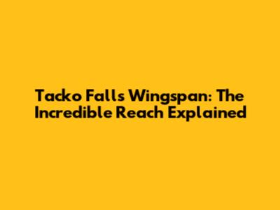 Tacko Fall's Wingspan: The Incredible Reach Explained
