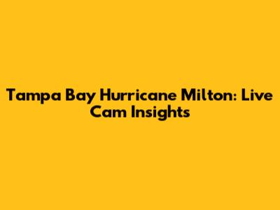 Tampa Bay Hurricane Milton: Live Cam Insights