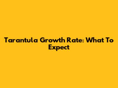 Tarantula Growth Rate: What To Expect