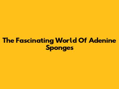 The Fascinating World Of Adenine Sponges