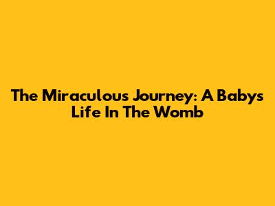 The Miraculous Journey: A Baby's Life In The Womb