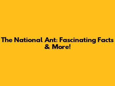 The National Ant: Fascinating Facts & More!