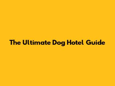 The Ultimate Dog Hotel Guide