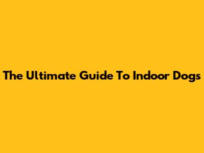 The Ultimate Guide To Indoor Dogs