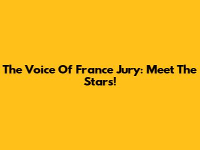 The Voice Of France Jury: Meet The Stars!