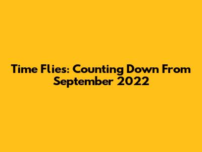 Time Flies: Counting Down From September 2022
