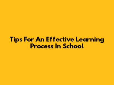 Tips For An Effective Learning Process In School