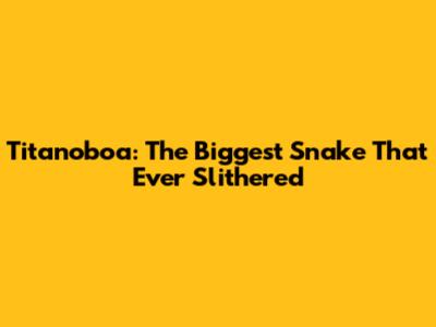 Titanoboa: The Biggest Snake That Ever Slithered