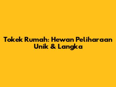 Tokek Rumah: Hewan Peliharaan Unik & Langka