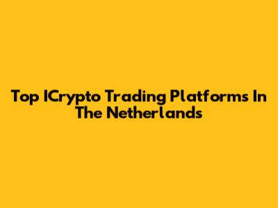Top ICrypto Trading Platforms In The Netherlands