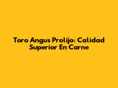 Toro Angus Prolijo: Calidad Superior En Carne