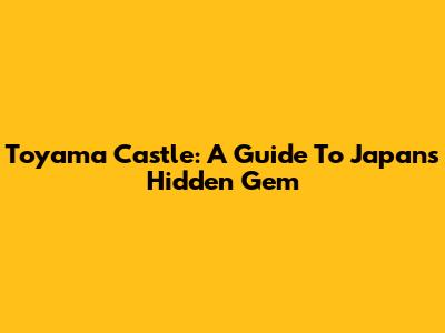 Toyama Castle: A Guide To Japan's Hidden Gem