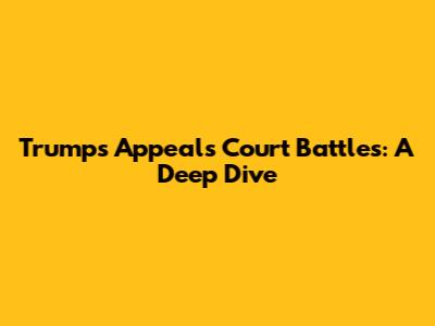 Trump's Appeals Court Battles: A Deep Dive