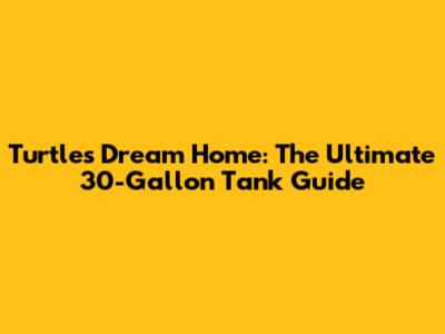 Turtle's Dream Home: The Ultimate 30-Gallon Tank Guide