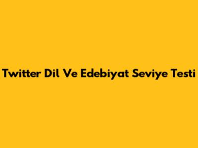 Twitter Dil Ve Edebiyat Seviye Testi