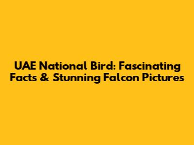 UAE National Bird: Fascinating Facts & Stunning Falcon Pictures