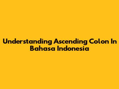 Understanding Ascending Colon In Bahasa Indonesia