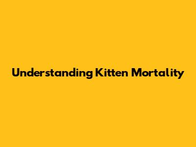 Understanding Kitten Mortality