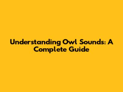 Understanding Owl Sounds: A Complete Guide