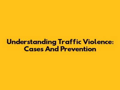 Understanding Traffic Violence: Cases And Prevention