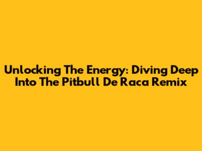 Unlocking The Energy: Diving Deep Into The 'Pitbull De Raca Remix'