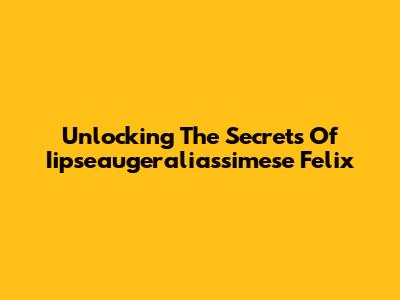 Unlocking The Secrets Of Iipseaugeraliassimese Felix