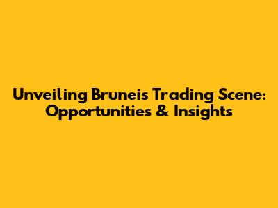 Unveiling Brunei's Trading Scene: Opportunities & Insights