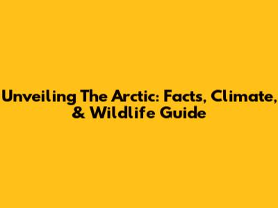 Unveiling The Arctic: Facts, Climate, & Wildlife Guide