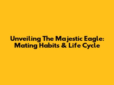 Unveiling The Majestic Eagle: Mating Habits & Life Cycle