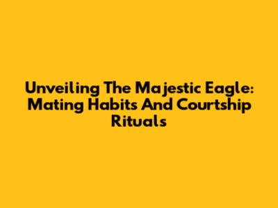 Unveiling The Majestic Eagle: Mating Habits And Courtship Rituals