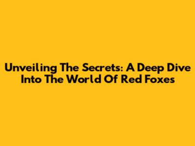Unveiling The Secrets: A Deep Dive Into The World Of Red Foxes
