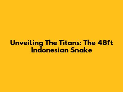 Unveiling The Titans: The 48ft Indonesian Snake