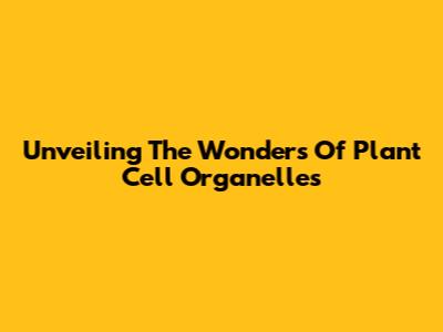 Unveiling The Wonders Of Plant Cell Organelles