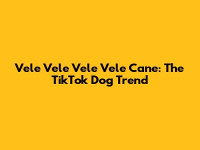 Vele Vele Vele Vele Cane: The TikTok Dog Trend
