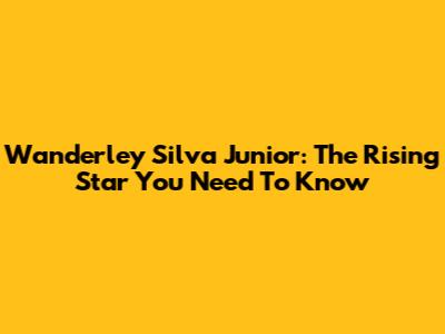 Wanderley Silva Junior: The Rising Star You Need To Know
