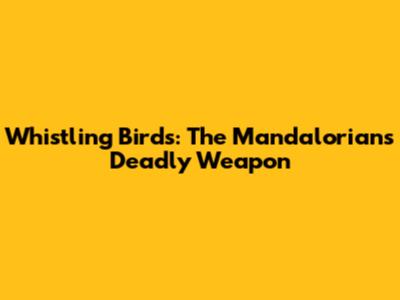 Whistling Birds: The Mandalorian's Deadly Weapon