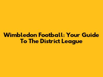 Wimbledon Football: Your Guide To The District League