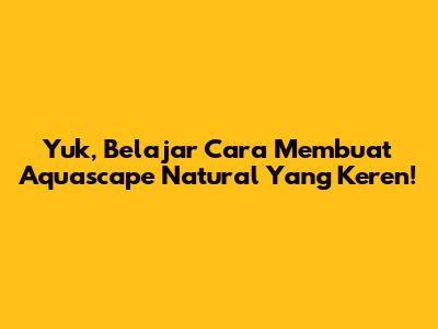 Yuk, Belajar Cara Membuat Aquascape Natural Yang Keren!