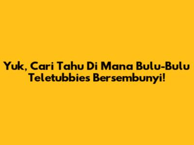 Yuk, Cari Tahu Di Mana Bulu-Bulu Teletubbies Bersembunyi!
